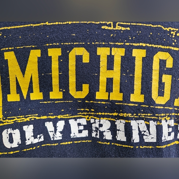 Gildan Michigan Wolverines Blue Tee, Large - Picture 3 of 5